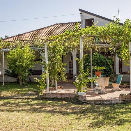 Villa Oidor - Cilento Ascea Eksteriør billede